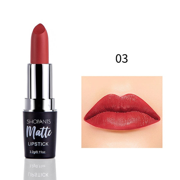 4 Colors/set Long Lasting Matte Korean Lipstick  Moisture Cosmetic Lips Makeup Waterproof Smoke Tube Lipstick Velvet Red Lip